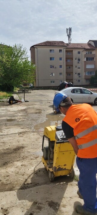 sereviciu